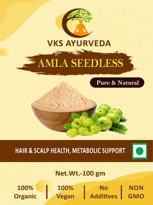 Amla Seedless 100 G