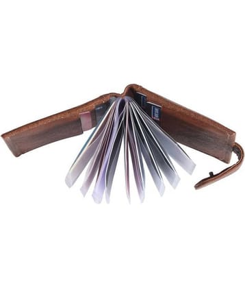 Hide&Sleek Leather Brown Formal Regular Wallet