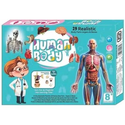 Braintastic 3D Human Anatomy Model Kit for Kids | Educational STEM Science Toy with Removable Organs & Body Parts | Learning Model for Children 8+ Years
