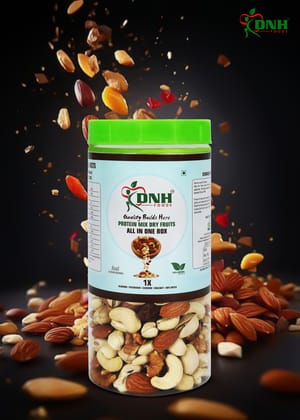 DNH FOODS PROTEIN MIX  DRY FRUITS PREMIUM QUALITY | 500 Gms