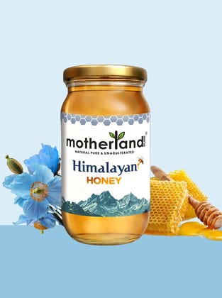 Motherland Pure Pure Himalayan Honey ( 500 gm ) | 100% Natural & Unprocessed | Daily Wellness