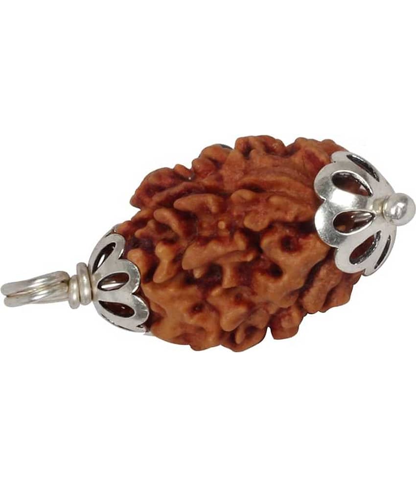 Astrodidi Three Face (3 Mukhi) Rudraksha Pendant With Lab Certificate
