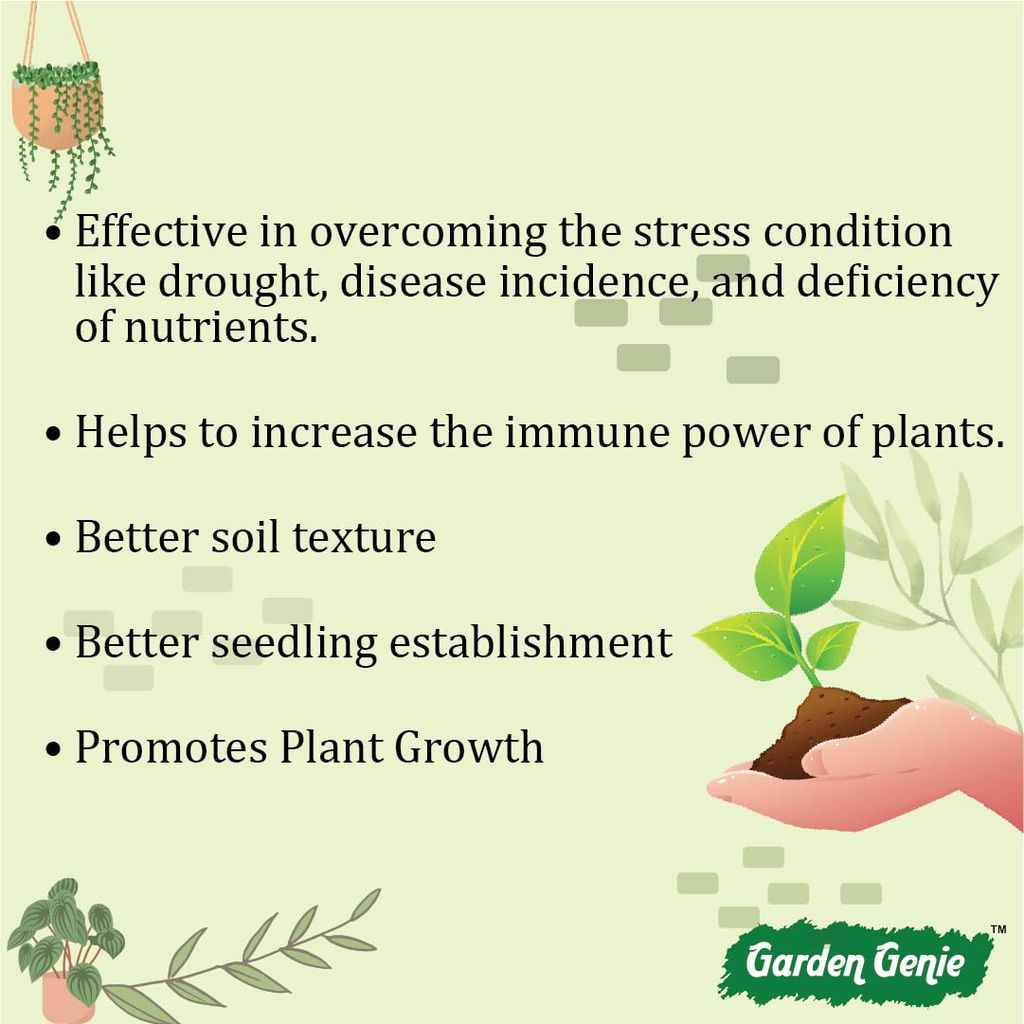 Garden Genie Root Power VAM Mycorrhiza Biofertilizer 380g - Root Stimulant Growth Booster and Development Fertilizer for Plants, Granules