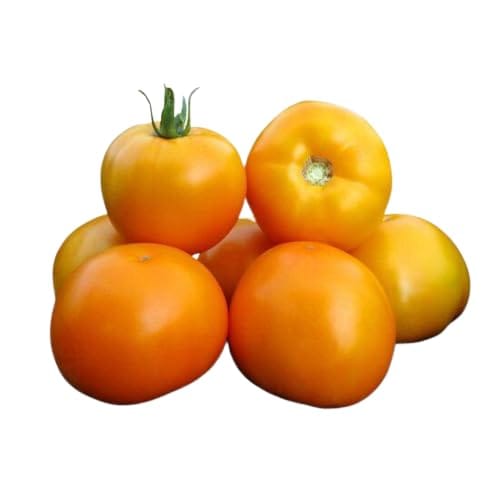 Tomato Local - 250 gm