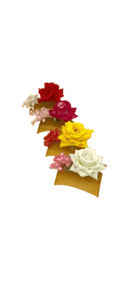 Premium Caps Hats Collection