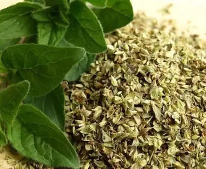 Nutriesfood Oregano Flakes 100gm – Premium Quality, Aromatic Oregano Flakes for Cooking, Seasoning, and Garnishing Dishes