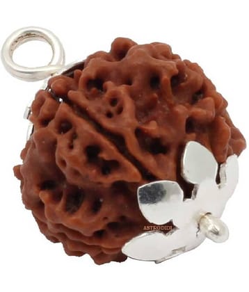 Astrodidi 5 Mukhi Rudraksha Pendant With Lab Certificate