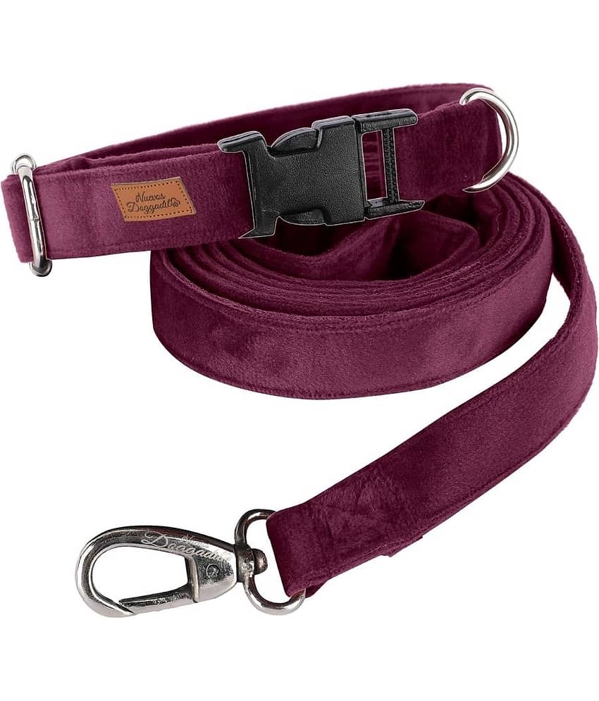 NUEVOS DOGGADIL - Black Collar ( X-Small )