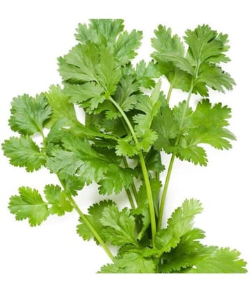 Vegetable Seeds Libdhaba Seeds - Coriander Seeds Veg Seeds Terrace Gardening Home Garden Seeds