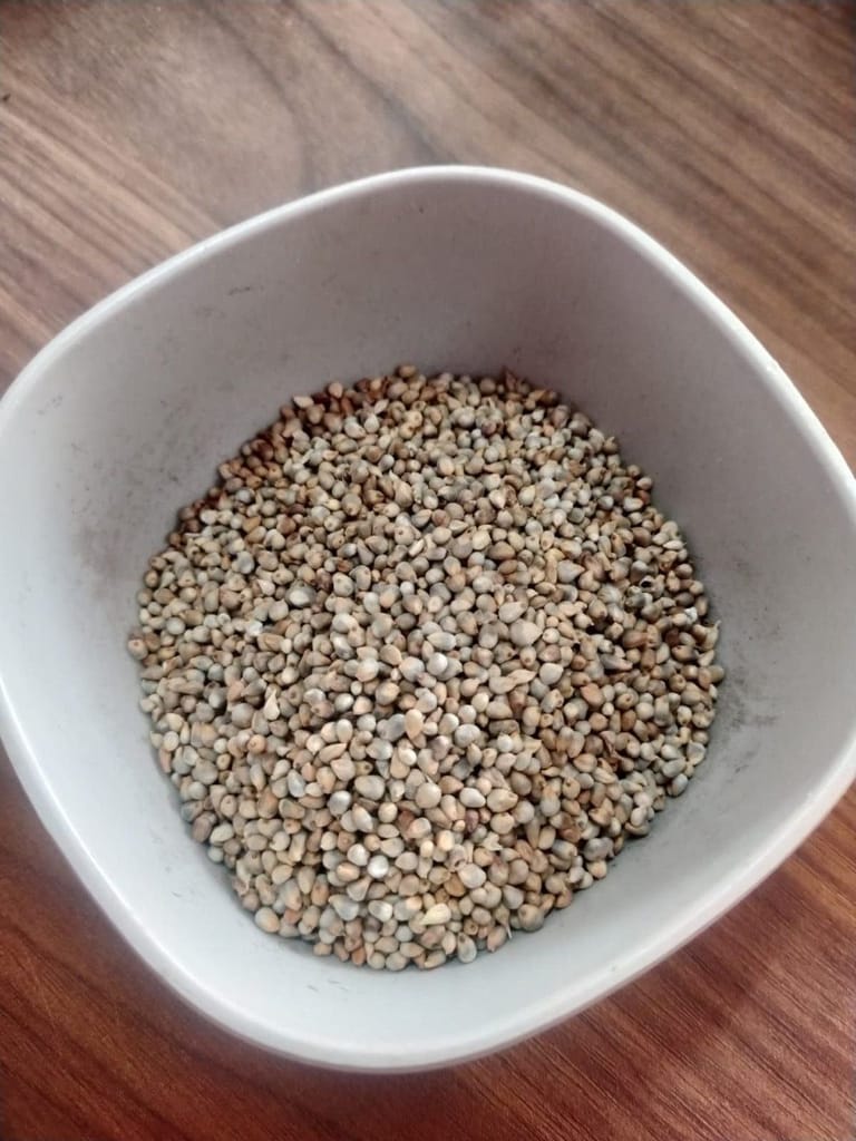 Pearl Millet (Bajra) (1Kg Pack)