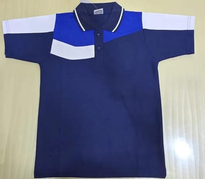 Mens Blue Cotton TShirt
