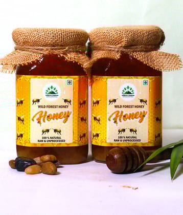 Hillpure Organic Multifloral Honey Wild Forest Honey 1 kg Pack of 2