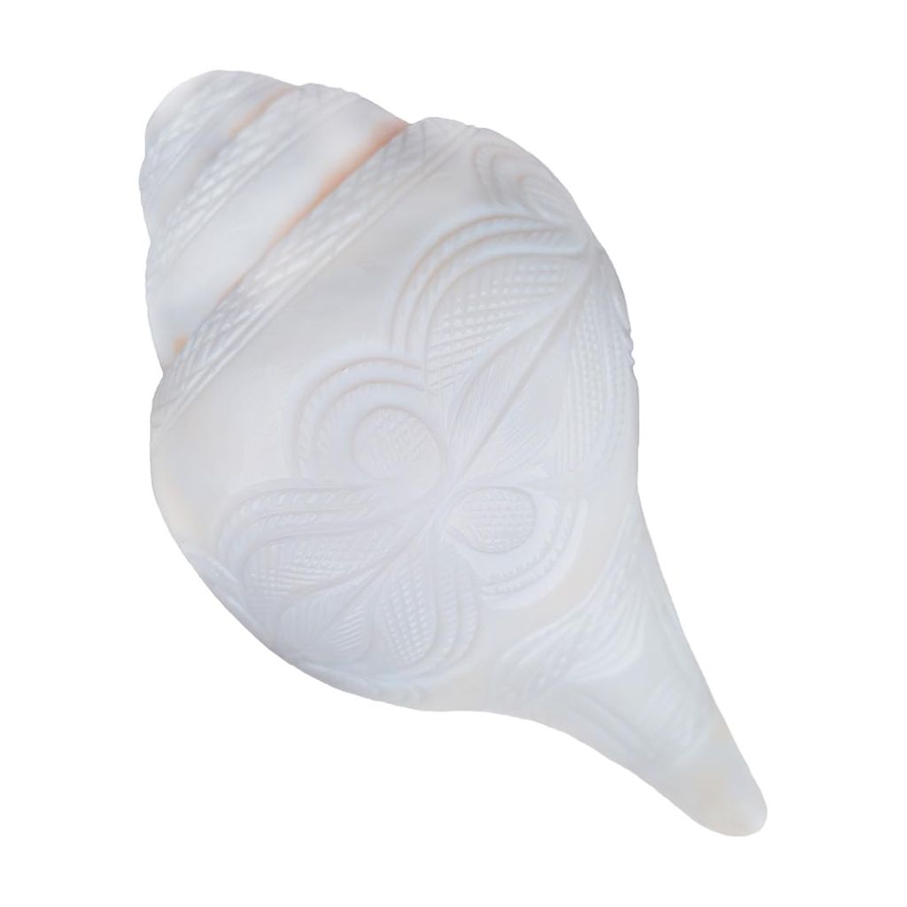 MAYAPURI Natural Loud Blowing Shankh for Pooja/Bajane Wala Shankha (White, Size: 7 inches) - Pooja Needs | Buy online on ZillyBuy