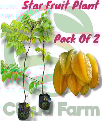 Cloud Farm Outdoor Fruit Plant ( Pack of 2 )