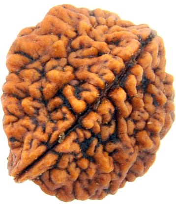 GCMR Wood Idol