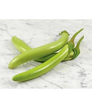 Green Brinjal Exotic Vegetable Seeds - Pack of 50 Seeds F1 Hybrid