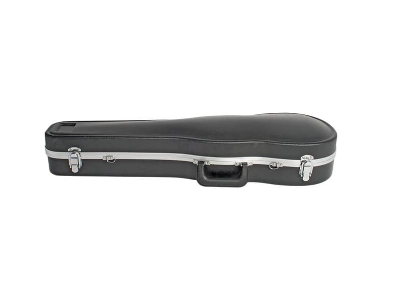 Violin Case