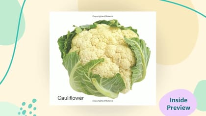 Vegetables Board Book for Children Age 0 -2 Years | Easy to hold Early Learning Picture Book to Learn Vegetables- Lovely Board Book Series [Board book] Dreamland Publications