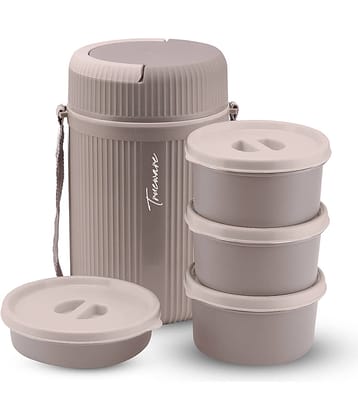 Trueware Meal 4 Plastic Insulated Lunch Box 4 - Container ( Pack of 1 )