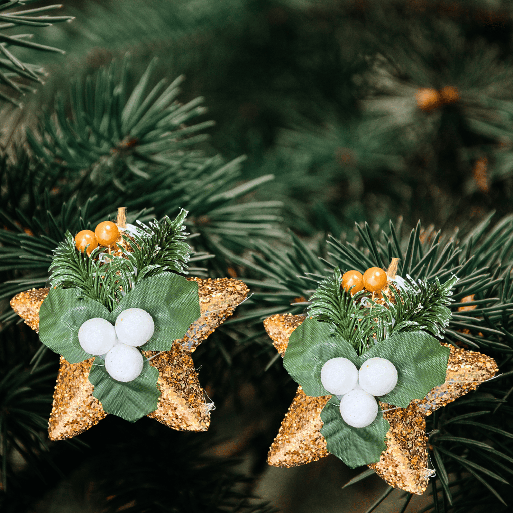 Decorative Golden Star with Missel Toe Hanging Decoration - 1PC - Party and Festive Needs | Buy online on ZillyBuy