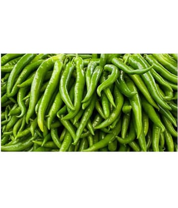 Gardens Indoor Dwarf Hybrid Vegetable Chilli SeedS(50 per packet) + Instruction Manual