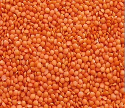 Masoor dal