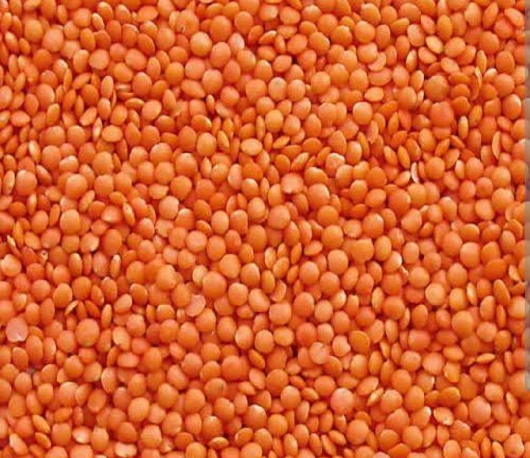 Masoor dal