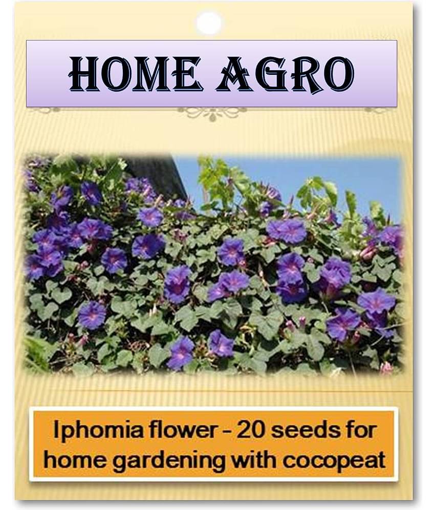 HN organic seed - Flower Seeds ( 20 )