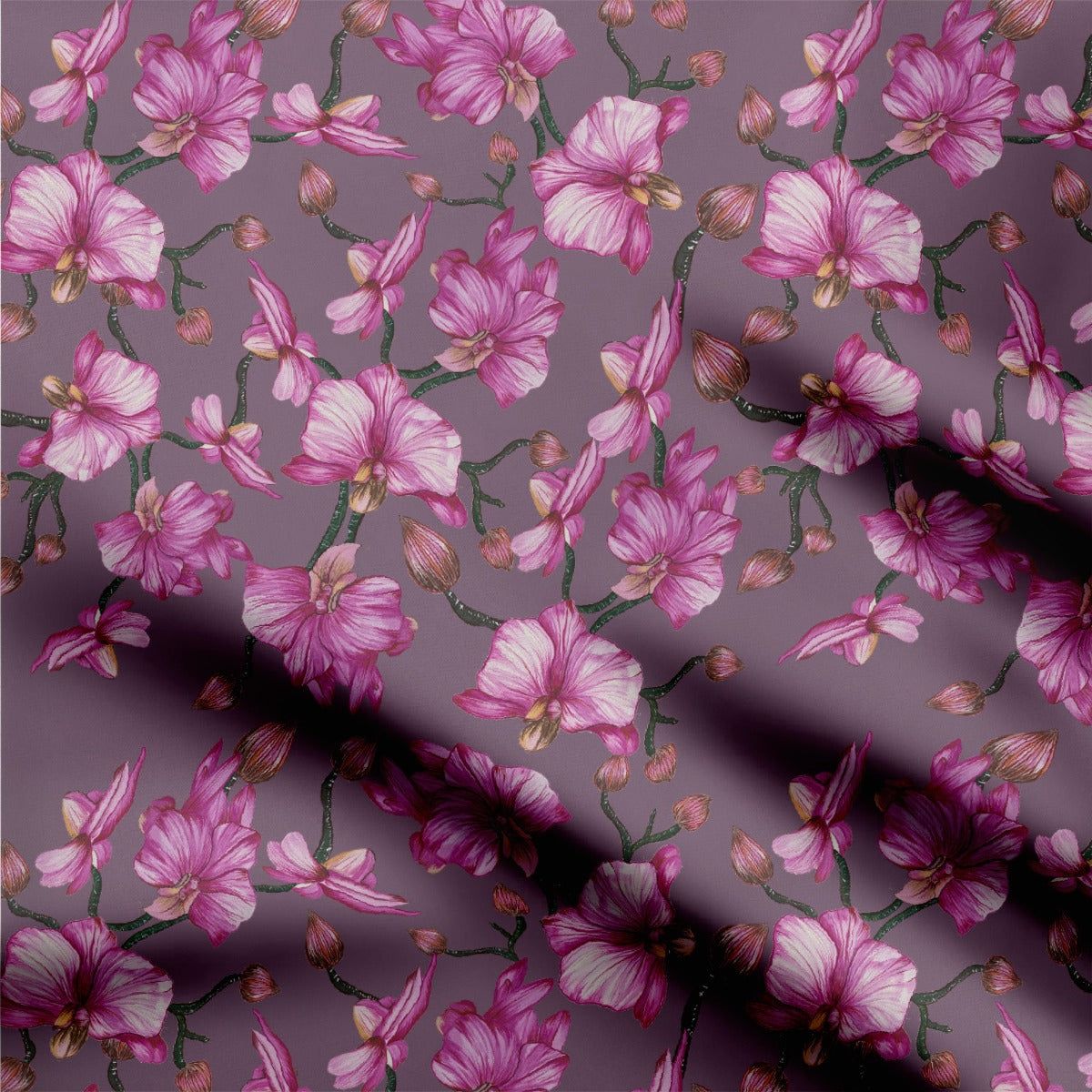 Pink orchids2-Cotton