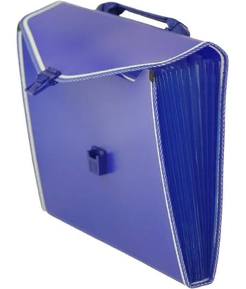 Bluedeal Blue Document Bag ( Pack of 1 )