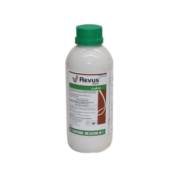 REVUS