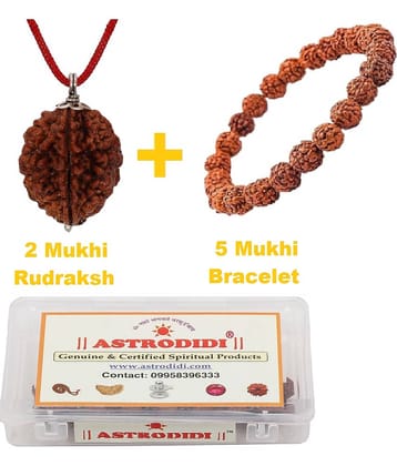2 Mukhi Rudraksha Pendant with 5 Mukhi Rudraksha Bracelet
