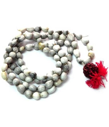 Astrodidi Vaijayanti Mala