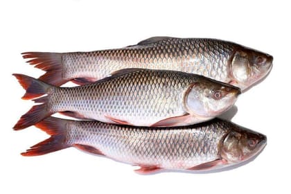 Catla - 0.9 kg