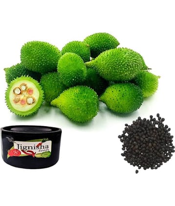 JignishaSeeds Kantola Vegetable ( 20 Seeds )