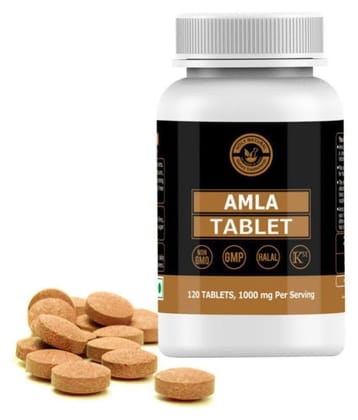Holy Natural Amla Tablet - 120 no.s Vitamins Tablets