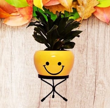 Metal Smily Emoji Pot With Stand