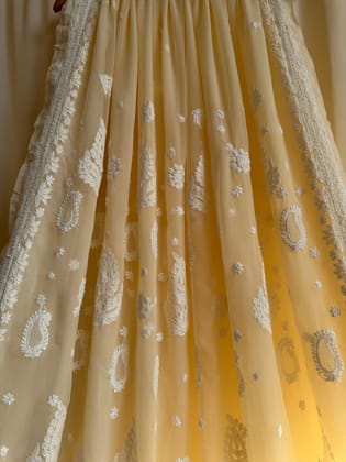 Georgette Chikankari saree in Beige-Beige