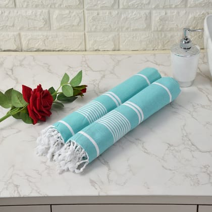 Furnofy Cotton 250 GSM Bath Towel Set Blue (Pack Of 2)