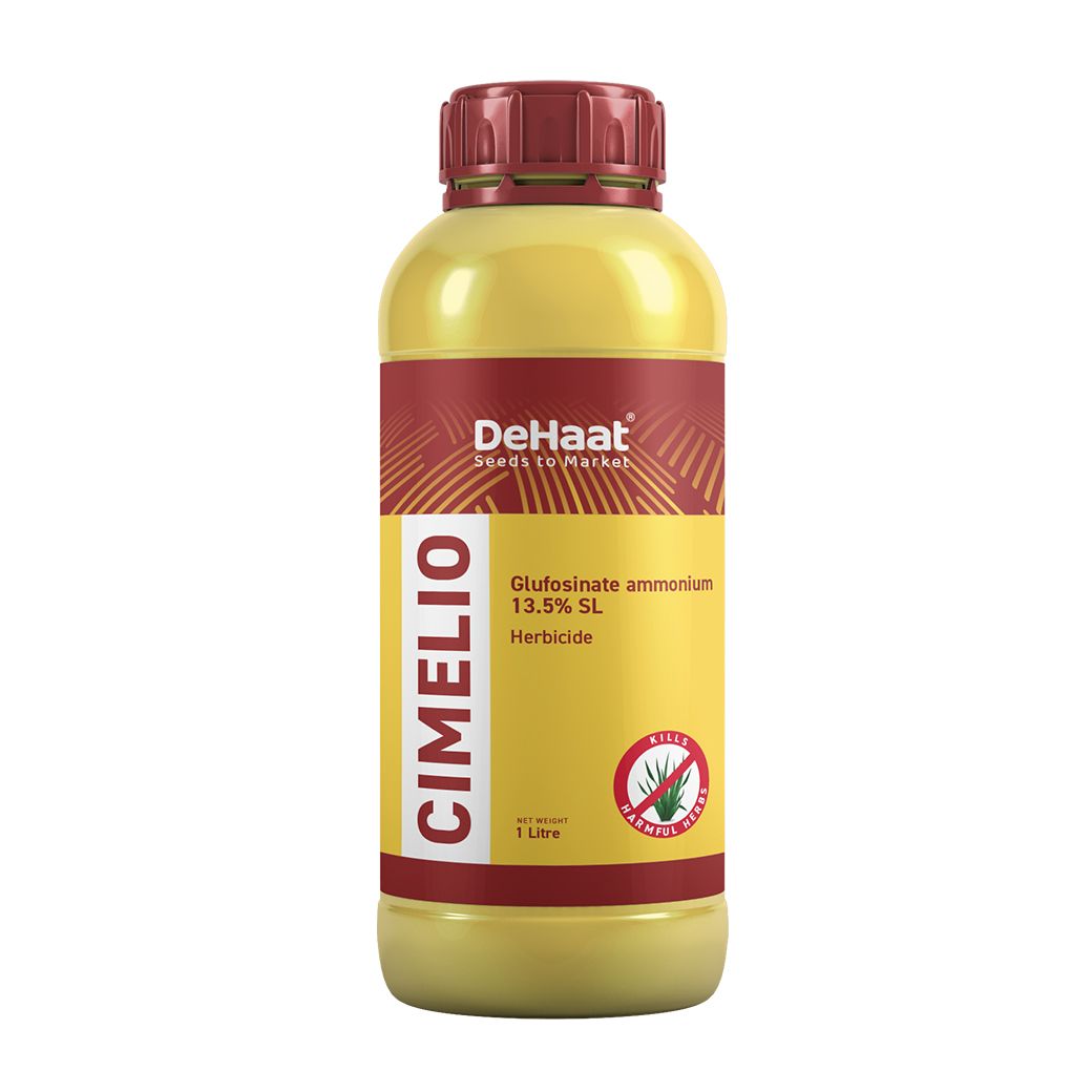 CIMELIO