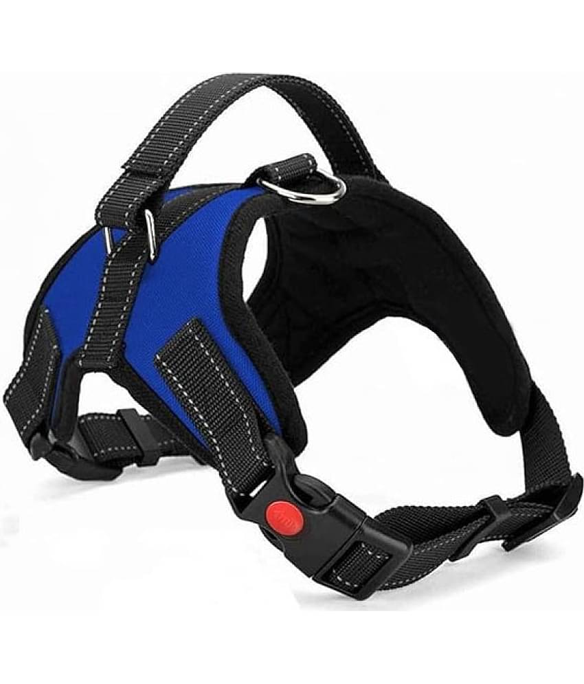 Petshop7 Blue Harness ( Large )