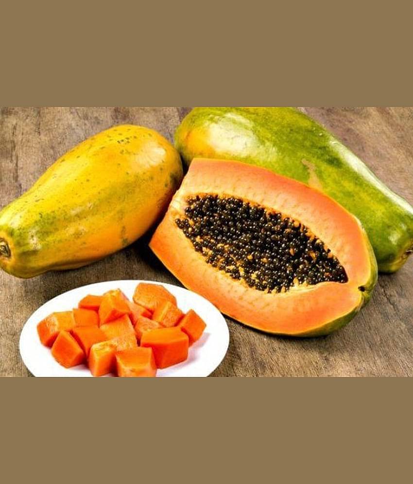 Taiwan Papaya Seeds For Garden Fruit Seeds ( 30 seed) hare krishna trading