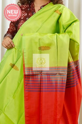 Handwoven Banana Pith Silk Saree With Blouse Piece