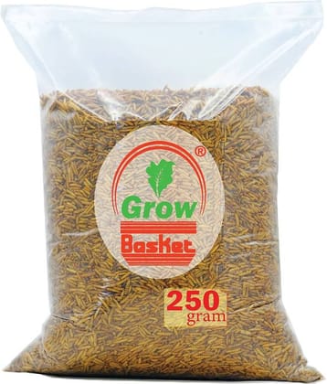 Dried Black Soldier Fly Larvae - 100% Natural, Protein Rich Fish Food for Arowana, Flower Horn, Oscar, Fighter, Angelfish, Molly, Koi, Cichlids, Tetra, Discus, Red tail All Life Stages All Big Ornamental Fishes 40% Protein Larvae BSF