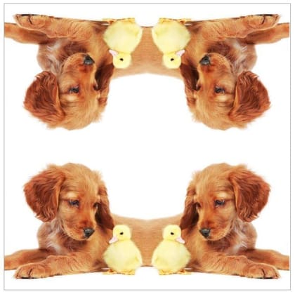 Decoupage Napkin / Tissue papers - 33cm*33cm - GT3025