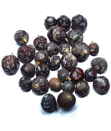 Nutrixia Food Hauber – Juniperus Communis Linn - ???? – Juniper Berry 100 gm