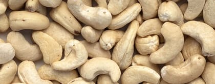 Premium CASHEW Nuts