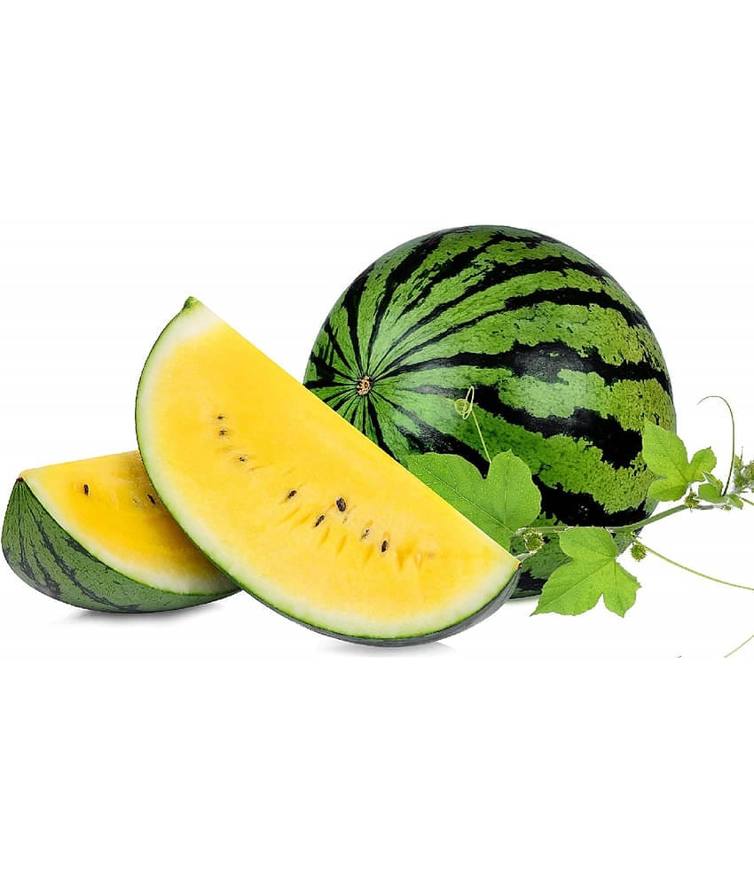 HN organic seed - Watermelon Fruit ( 5 Seeds )
