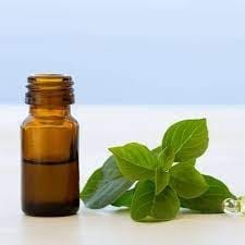 Holy Basil Hydrosol ( Tulsi)
