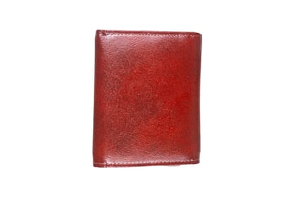 Titas Gents Brown Genuine Leather Wallet-Chikoo / FREE / Leather